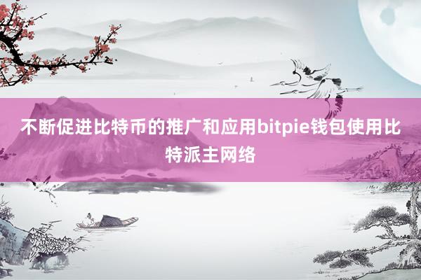 不断促进比特币的推广和应用bitpie钱包使用比特派主网络