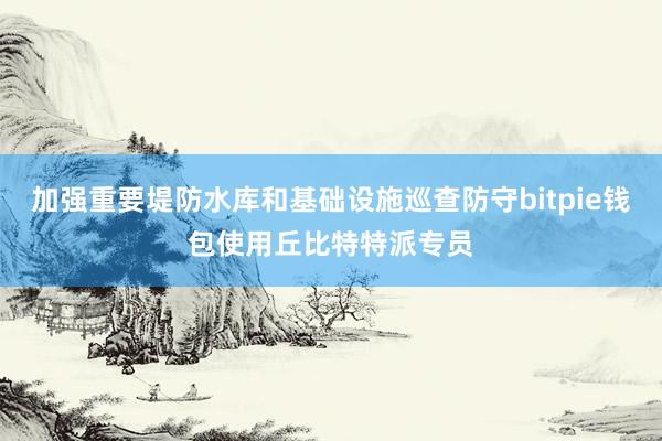 加强重要堤防水库和基础设施巡查防守bitpie钱包使用丘比特特派专员