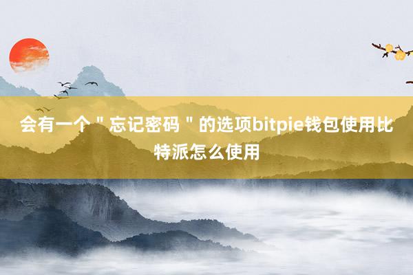 会有一个＂忘记密码＂的选项bitpie钱包使用比特派怎么使用