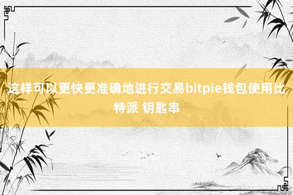 这样可以更快更准确地进行交易bitpie钱包使用比特派 钥匙串