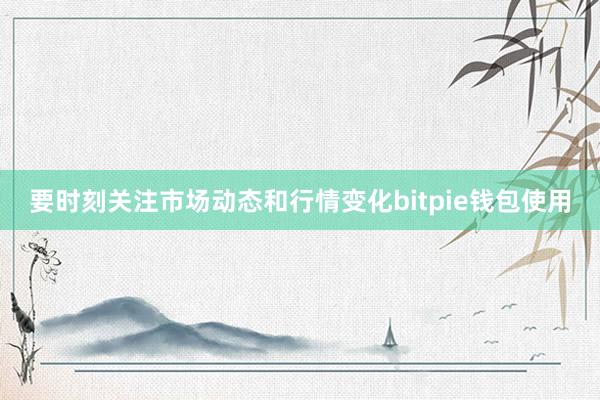 要时刻关注市场动态和行情变化bitpie钱包使用