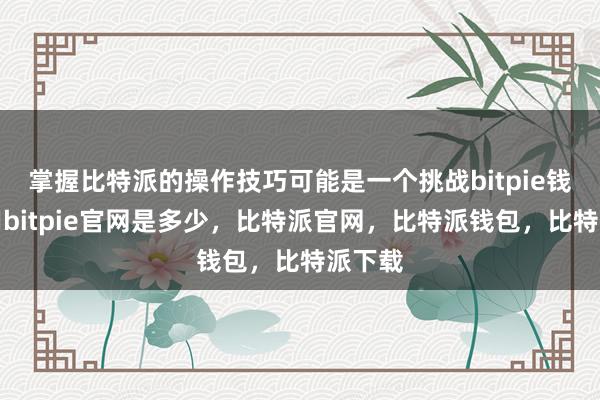 掌握比特派的操作技巧可能是一个挑战bitpie钱包使用bitpie官网是多少，比特派官网，比特派钱包，比特派下载