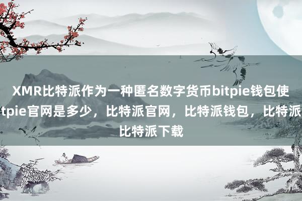 XMR比特派作为一种匿名数字货币bitpie钱包使用bitpie官网是多少，比特派官网，比特派钱包，比特派下载