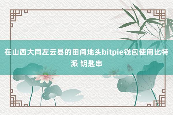 在山西大同左云县的田间地头bitpie钱包使用比特派 钥匙串