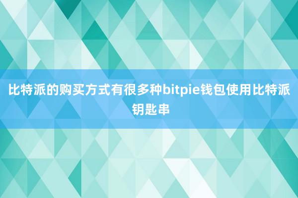 比特派的购买方式有很多种bitpie钱包使用比特派 钥匙串