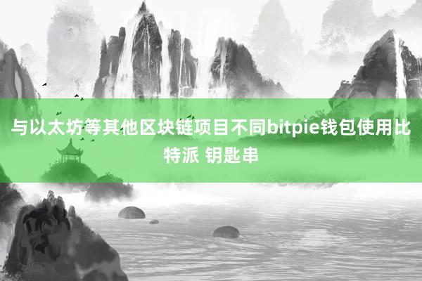 与以太坊等其他区块链项目不同bitpie钱包使用比特派 钥匙串