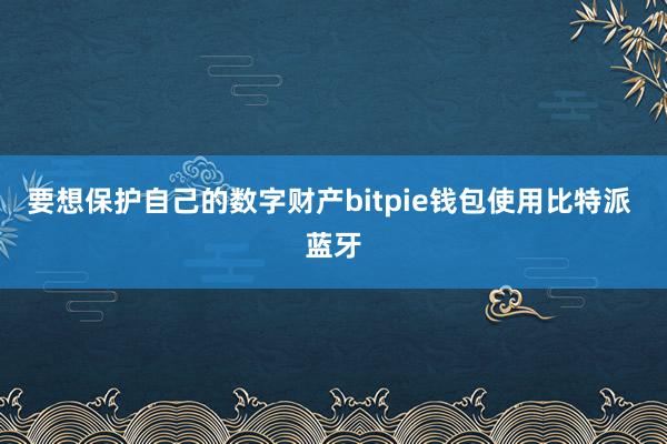 要想保护自己的数字财产bitpie钱包使用比特派 蓝牙