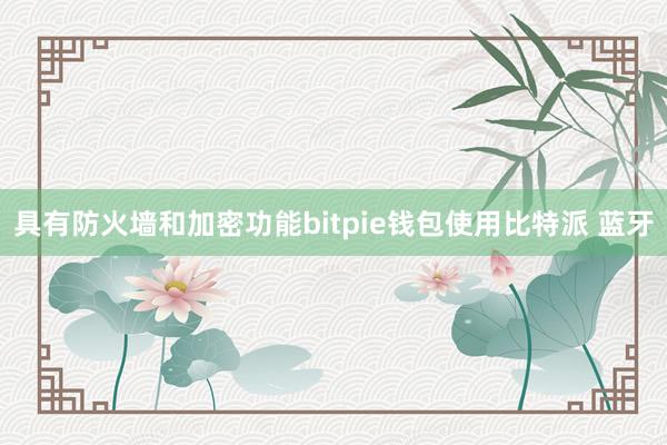 具有防火墙和加密功能bitpie钱包使用比特派 蓝牙