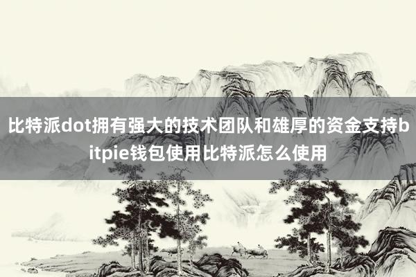 比特派dot拥有强大的技术团队和雄厚的资金支持bitpie钱包使用比特派怎么使用