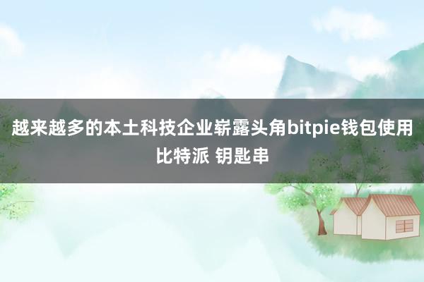 越来越多的本土科技企业崭露头角bitpie钱包使用比特派 钥匙串