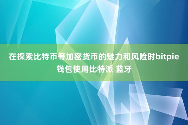 在探索比特币等加密货币的魅力和风险时bitpie钱包使用比特派 蓝牙