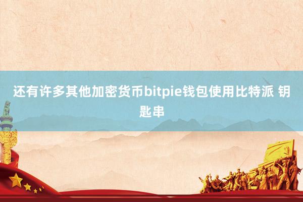 还有许多其他加密货币bitpie钱包使用比特派 钥匙串