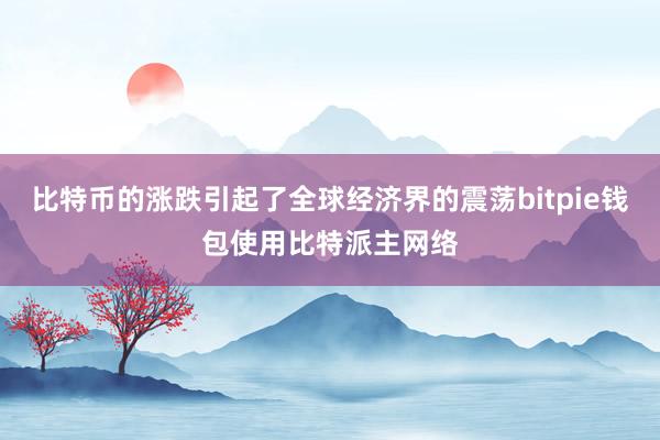 比特币的涨跌引起了全球经济界的震荡bitpie钱包使用比特派主网络