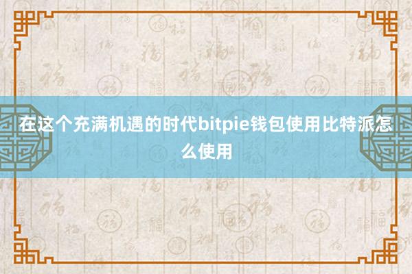 在这个充满机遇的时代bitpie钱包使用比特派怎么使用