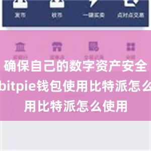 确保自己的数字资产安全可靠bitpie钱包使用比特派怎么使用