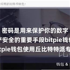 密码是用来保护你的数字货币资产安全的重要手段bitpie钱包使用丘比特特派专员