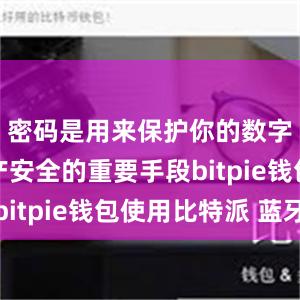 密码是用来保护你的数字货币资产安全的重要手段bitpie钱包使用比特派 蓝牙