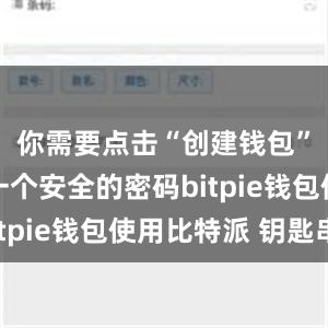 你需要点击“创建钱包”并设置一个安全的密码bitpie钱包使用比特派 钥匙串