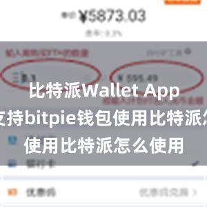 比特派Wallet App都可以支持bitpie钱包使用比特派怎么使用