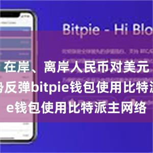 在岸、离岸人民币对美元汇率强势反弹bitpie钱包使用比特派主网络