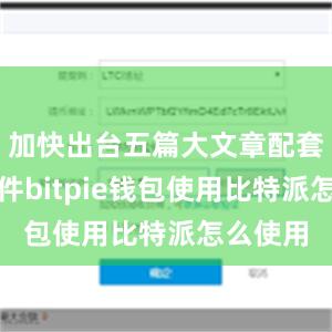 加快出台五篇大文章配套政策文件bitpie钱包使用比特派怎么使用