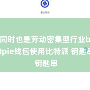 同时也是劳动密集型行业bitpie钱包使用比特派 钥匙串