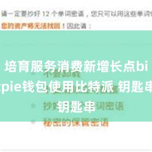 培育服务消费新增长点bitpie钱包使用比特派 钥匙串