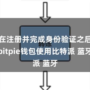 在注册并完成身份验证之后bitpie钱包使用比特派 蓝牙