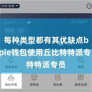 每种类型都有其优缺点bitpie钱包使用丘比特特派专员