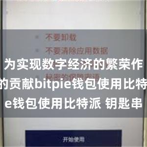 为实现数字经济的繁荣作出更大的贡献bitpie钱包使用比特派 钥匙串