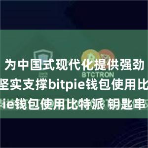 为中国式现代化提供强劲动力和坚实支撑bitpie钱包使用比特派 钥匙串