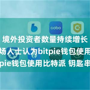 境外投资者数量持续增长……市场人士认为bitpie钱包使用比特派 钥匙串